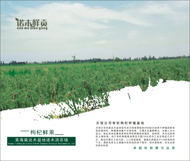 &#20061;&#28216;&#32593;&#39029;&#29256;&#45;&#20061;&#28216;&#65288;&#20013;&#22269;&#65289;