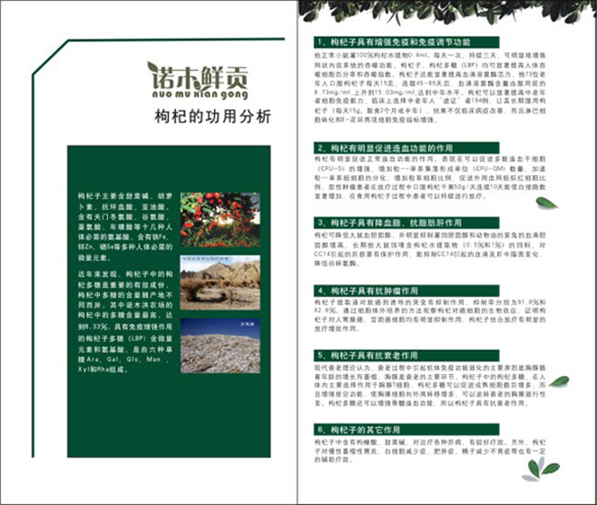 &#20061;&#28216;&#32593;&#39029;&#29256;&#45;&#20061;&#28216;&#65288;&#20013;&#22269;&#65289;